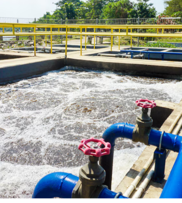 Untitled design 2025 12 05T154425.049